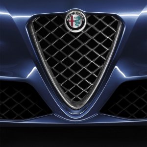 Alfa Romeo Carbon Front Grille Alfa Giulia 2.9 V6 QV